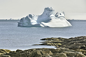Iceberg longeant la ville de Qeqertarsuaq en provenance du fjord glacé d'Ilulissat - Groenland