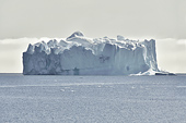 Iceberg longeant la ville de Qeqertarsuaq en provenance du fjord glacé d'Ilulissat - Groenland