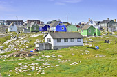 Vue sur la ville avec ses maisons colorées - Qeqertarsuaq - Groenland