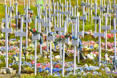 Le cimetière où toutes les tombes sont décorées avec des fleurs artificielles de toutes les couleurs - Qeqertarsuaq - Groenland