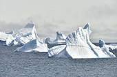 Iceberg longeant la ville de Qeqertarsuaq en provenance du fjord glacé d'Ilulissat - Groenland