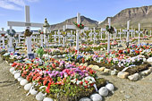 Le cimetière où toutes les tombes sont décorées avec des fleurs artificielles de toutes les couleurs - Qeqertarsuaq - Groenland
