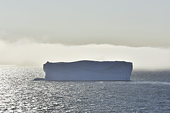 Navigation dans le brouillard entre les icebergs - Baie de Disko - Groenland