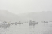 Le port d'Ilulissat dans le brouillard - Groenland