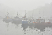 Le port d'Ilulissat dans le brouillard - Groenland