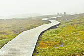 Chemin de randonnée balisé pour rejoindre le fjord - Ilulissat - Groenland