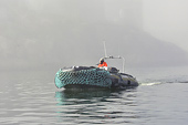 Les zodiacs viennent nous chercher - Ilulissat - Groenland