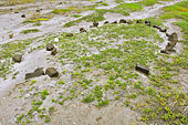 Site archéologique de la culture Saqqaq datant du 3ème millénaire avant Jésus-Christ - Sullorsuaq (Vaigat) - Groenland
