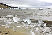 Nombreux morceaux de glace Sarrasins (brash ice) en bordure de la mer - Sullorsuaq (Vaigat) - Groenland