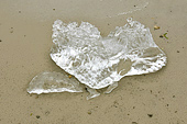 Morceau de glace Sarrasins (brash ice) en bordure de la mer - Sullorsuaq (Vaigat) - Groenland
