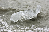 Morceau de glace Sarrasins (brash ice) en bordure de la mer - Sullorsuaq (Vaigat) - Groenland