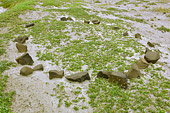 Site archéologique de la culture Saqqaq datant du 3ème millénaire avant Jésus-Christ - Sullorsuaq (Vaigat) - Groenland