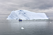 Navigation d'un bateau de pêche au milieu des icebergs dans la baie de Disko - Groenland