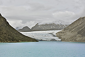 Glacier dans le fjord d'Evighed - Groenland