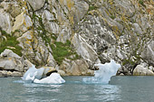 Depuis les zodiacs nous regardons les rives - Fjord d'Evighed - Groenland