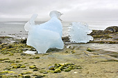  Fragments d'iceberg (bergy bit) échoués sur la plage - Nuuk - Groenland