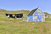 Maison colorée dans le village d'Igaliku - Groenland