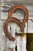 Fers à cheval