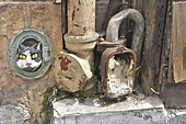Le chat