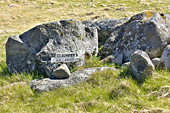 Restes des ruines de l'hôpital français de "Faskrudsfjordur" à "Hafnarnes" - Islande