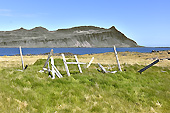 Restes des ruines de l'hôpital français de "Faskrudsfjordur" à "Hafnarnes" - Islande