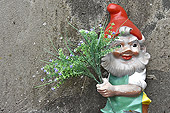 Lutin ou Gnome - Petite créature humanoïde légendaire du folklore - Islande