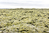 Champ de lave "d'Eldhraun" - Islande