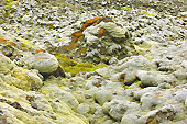 Détail du champ de lave "d'Eldhraun" - Islande