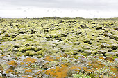 Champ de lave "d'Eldhraun" - Islande