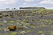Plage de sable noir de "Reynisfjara" - Islande