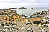 Falaises de "Dyrhólaey" - Islande