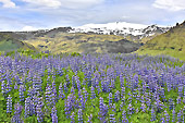 Nous reprenons la route vers de nouveaux paysages - Islande