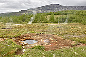 Site géothermique de "Geysir" - Sources d'eau chaude avec bouillonnement et vapeur - Islande