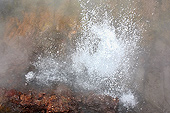 "Deildartunguhver" est une source chaude Jaillissant à une température de 100 °C - Islande