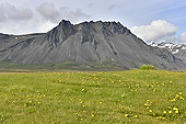 Péninsule de "Snæfellsnes" - Islande