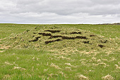 Péninsule de "Snæfellsnes" - Falaises de "Lóndrangar" - Monticule de lave - Islande