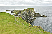 Péninsule de "Snæfellsnes" - Falaises de "Lóndrangar" - Islande
