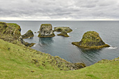 Péninsule de "Snæfellsnes" - Falaises de "Lóndrangar" - Islande
