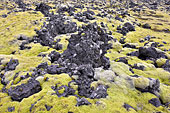 En route à travers les champs de lave vers la plage de "Djúpalónssandur" - Islande