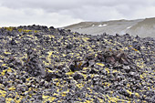 En route à travers les champs de lave vers la plage de "Djúpalónssandur" - Islande