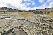 Marche à travers des champs de lave vers la chute d'eau de "Dettifoss" - Islande