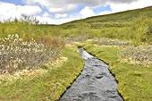 Rivière "Jökulsá" (Rivière des Montagnes) dans le canyon de "Hiljódaklettar" - Islande