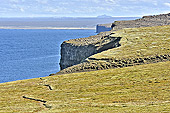 Lac "Myvatn" (le lac des mouches) - Islande