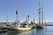 Bateaux de promenade pour voir des baleines à "Húsavik" - Islande