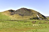 Pseudo-cratère de "Skutustadir" (ou Skutustadagigar) - Islande