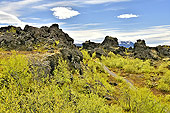 Champ de lave de "Dimmuborgir" - Islande