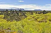 Champ de lave de "Dimmuborgir" - Islande