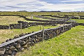 Enclos pour le triage des moutons - Islande