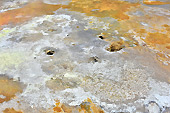 Dépôts colorés de soufre qui parsèment le sol - Solfatares de "Námafjall" - Islande