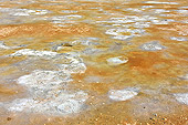 Dépôts colorés de soufre qui parsèment le sol - Solfatares de "Námafjall" - Islande